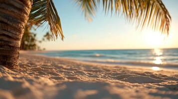 A palm tree is on the beach with the ocean in the background. The sun is setting, creating a warm and peaceful atmosphere photo