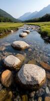 A river with a rocky path and a mountain in the background. The rocks are scattered along the river, creating a natural stepping stone path. The scene is serene and peaceful photo