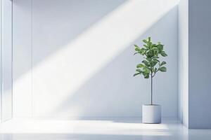 Bright indoor space with a flourishing plant in a modern decor setting during daylight photo
