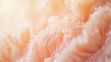 Delicate lace texture illuminated by soft light in a serene setting, showcasing intricate patterns and craftsmanship photo