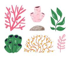 Set of different algae.Marine creatures, sea or ocean flora and fauna. vector