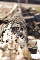 A close up of a wooden fence with a wire on it photo