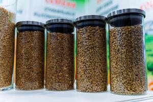 Several jars of seeds are on display in a store photo