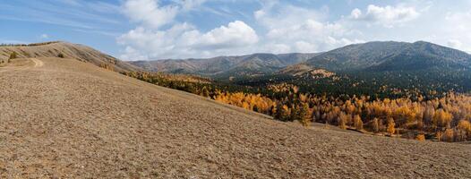 A view of a mountain range with trees and grass photo