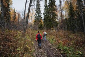 Two people walking on a trail in the woods photo