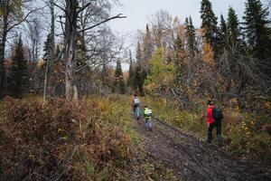 A group of people walking on a trail in the woods photo