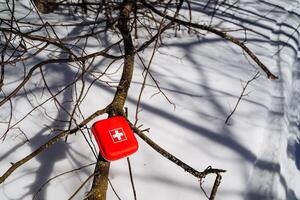 A red first aid kit on a tree branch photo