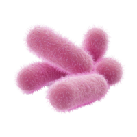 Vibrant pink bacteria illustration, showcasing the unique structure and texture of microorganisms under microscopic view. png