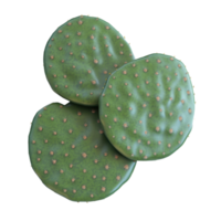 Fresh green cactus pads arranged beautifully, showcasing their unique texture and vibrant color for culinary or ornamental use. png
