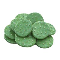 A pile of fresh green cactus pads with distinctive texture, perfect for culinary and botanical use in visuals. png
