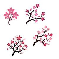 Beautiful Array of Pink Blossom Trees Featuring Different Styles of Flowers in Various Shades Against a Clean White Background Creating a Stunning Visual vector