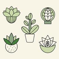 Delightful Arrangement of Various Succulent Plants Featuring Unique Shapes and Textures Displayed in Pretty Pots Bringing Life and Color to Your Space vector