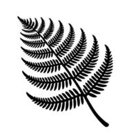 A black and white fern leaf on a white background vector