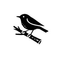 A black and white bird sitting on a branch vector