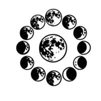 The moon phases are shown in a circle vector