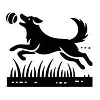 A black and white dog running with a ball vector