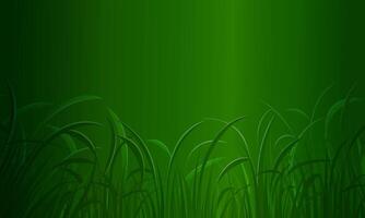 green grass dark green background. copy space nature background. shiny soft light. vector