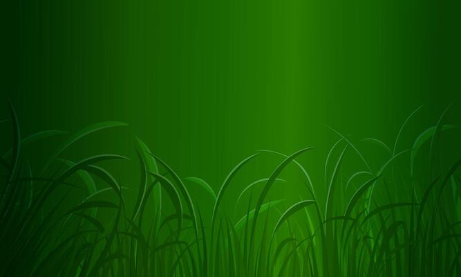 green grass dark green background. copy space nature background. shiny soft light.