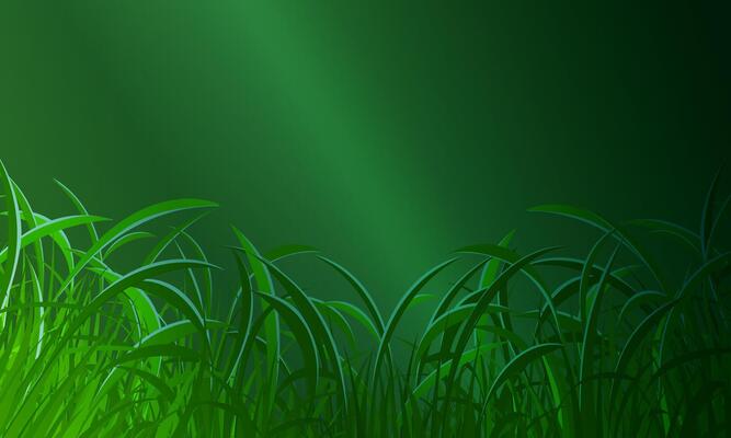 green grass dark green background. copy space nature background.