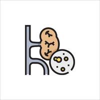 An illustration of a kidney and a brain vector