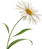 Artistic Daisy Flower Clipart with Stem and Gentle Motion. . png