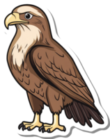 A Brown Eagle Stands Proudly Displaying its Feathers png