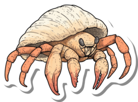 Hermit Crab Illustration In Seashell Home png