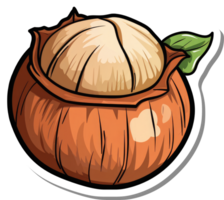A Single Hazelnut in its Shell Ready to Eat png