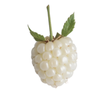 Unique half white raspberry showcasing delicate texture against a simple white background, half white raspberry on white background png