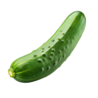 Fresh cucumber isolated on Transparent background showcasing its vibrant green color and smooth texture, cucumber isolated on background png