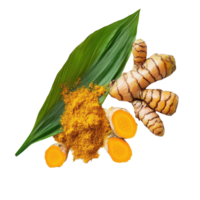 Fresh turmeric root, powder, and leaf presented on a Transparent background for culinary and health uses, turmeric with leaf isolated on background png