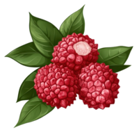 Fresh lychee fruit with vibrant green leaves on a clean Transparent background captures tropical essence, lychee tropical fruit with leaves on background png