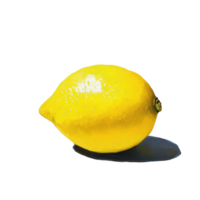 Lemon resting on a Transparent background showcasing bright yellow color and shadow play, lemon on background png