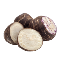 Sweet taro root displayed on a clean Transparent background highlighting its unique texture and color variations, sweet taro root isolated on background png