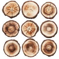 Wood slices arranged neatly on a Transparent background showcasing natural textures and patterns, Wood slices isolated on background png