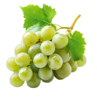 Fresh green grapes with leaves isolated on a white background representing healthy eating choices, Green grape with leaf isolated on white background png