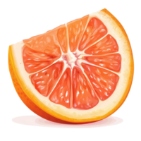 Half pink grapefruit with vibrant slice displayed against a white background for fresh fruit presentation, half pink orange or grapefruit with slice on white background png