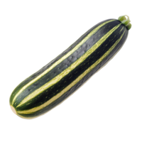 Striped cucumber isolated on a Transparent background showcasing its vibrant green and yellow stripes, striped cucumber isolated on background png