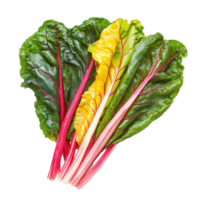 Freshly picked Swiss chard leaves showcasing vibrant colors and textures on Transparent background, Swiss chard leaves vegetable isolated on background png
