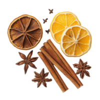 Cinnamon sticks, star anise, and dried lemon slices create a warm and aromatic composition, Cinnamon stick, star anise and dried lemon isolated on white background png