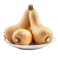 Butternut squash arranged neatly on a white plate with a clean background for a fresh look, butternut squash in a plateisolated on white background png