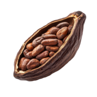 Cocoa pod with cacao beans isolated on Transparent background showcasing natural food elements and textures, Cocoa pod isolated on background png
