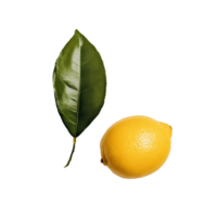 Fresh lemon and green leaf isolated on clean Transparent background, showcasing natural beauty and simplicity, Lemon and a leaf isolated on background png