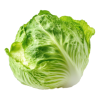 Fresh iceberg lettuce on a white background showcasing vibrant green leaves and crisp texture, Iceberg Lettuce on white background png