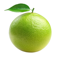 Fresh green pomelo citrus fruit with vibrant leaf on a white background ideal for culinary and health uses, Green pomelo citrus fruit with leaf isolated on white background png
