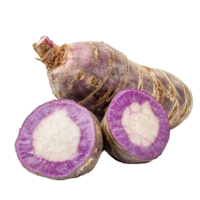 Taro root with purple flesh and skin isolated against a Transparent background, Taro root isolated on background png