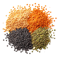 Varied colors of lentils beautifully arranged on a clean Transparent background for culinary and health purposes, lentilsisolated on background png
