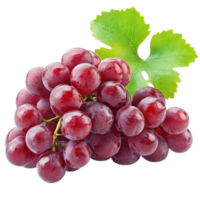 Ripe red grapes with leaves showcase fresh fruit on a Transparent background for healthy snacking and culinary uses, Ripe red grapes isolated on background png