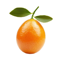 Fresh orange kumquat with green leaves on a Transparent background, Orange kumquat isolated on background png
