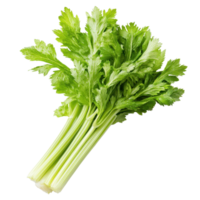 Fresh green celery bunch seen from above on a Transparent background, Top view of celery isolated on background png